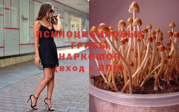синтетический гашиш Володарск