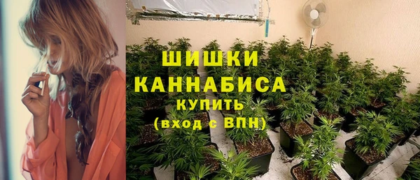 spice Волосово