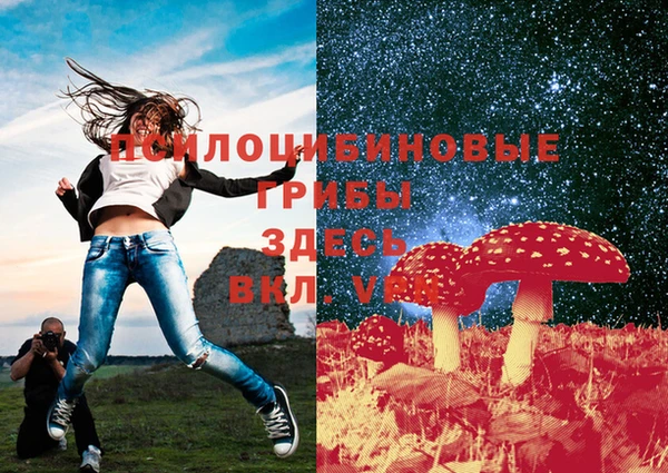 spice Волосово