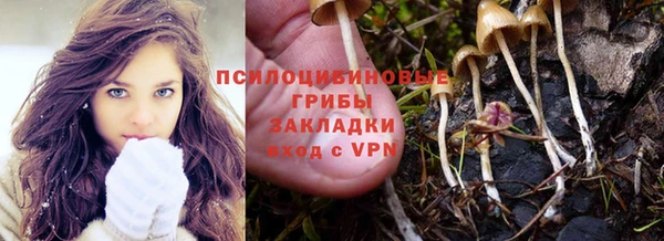 spice Волосово