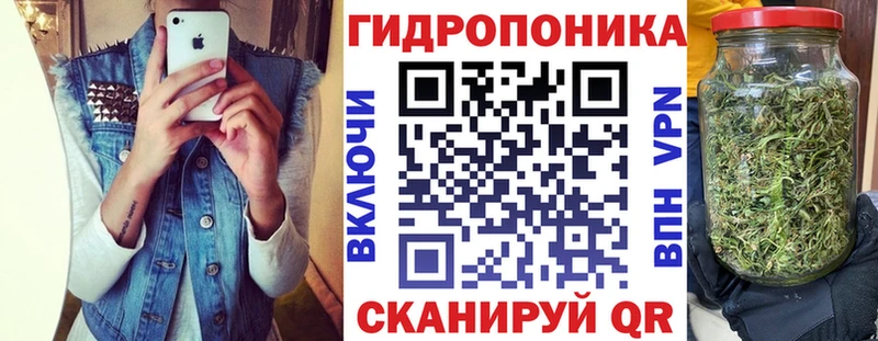 Бошки марихуана индика  Купить закладки  Хилок 
